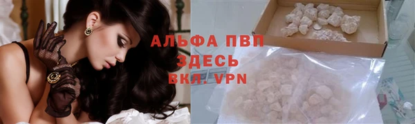 ГАЛЛЮЦИНОГЕННЫЕ ГРИБЫ Балабаново
