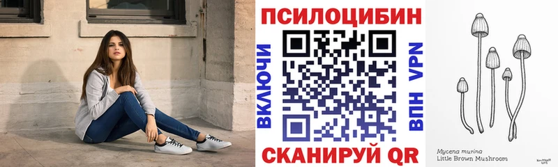 площадка состав  купить   Фрязино  Галлюциногенные грибы мицелий 